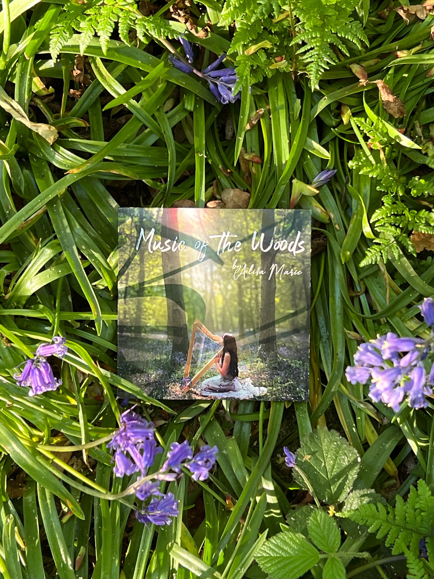 Music of the Woods CD + Digital Download