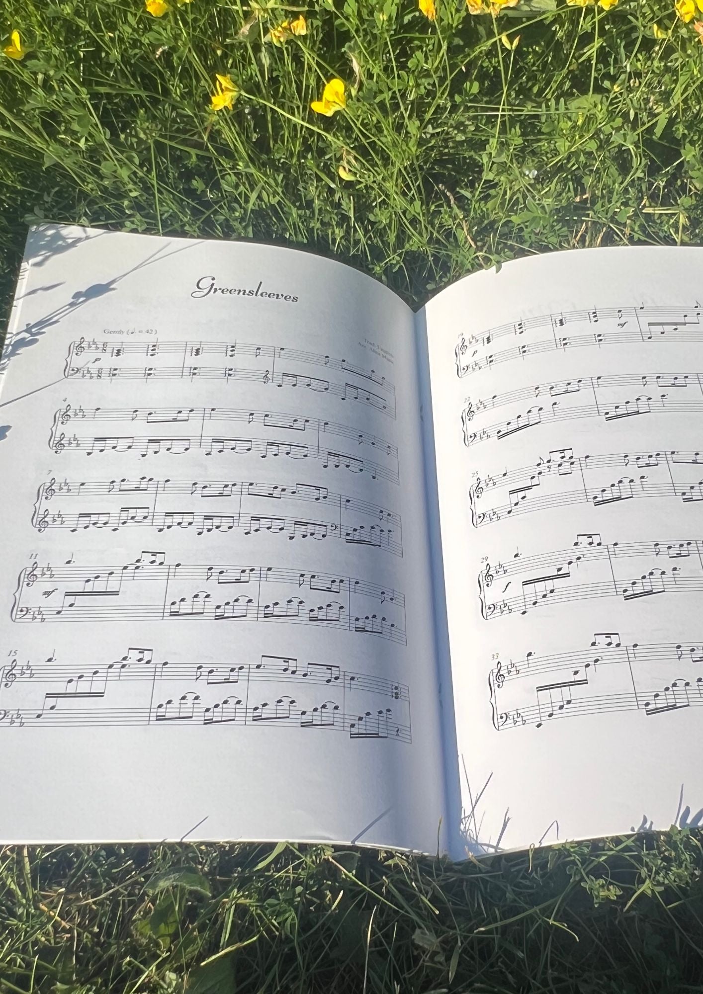 Celtic Harp Melodies – Printed Sheet Music Book + PDF Digital Download