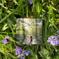 Music of the Woods CD + Digital Download